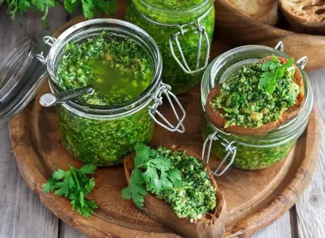 recipe spicy moringa cilantro pesto e1499877403631