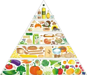 moringa food pyramid