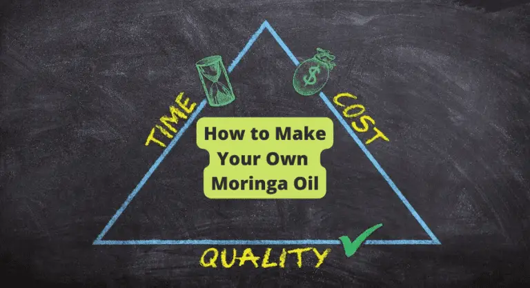 how to make Moringa oil
