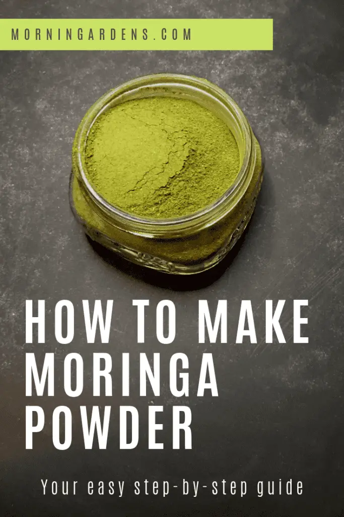 How to Make Moringa Powder The Definitive Guide and Resource Post