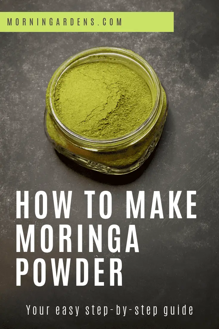how to make moringa powder