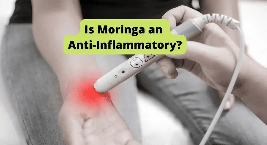 is moringa an anti inflammatory