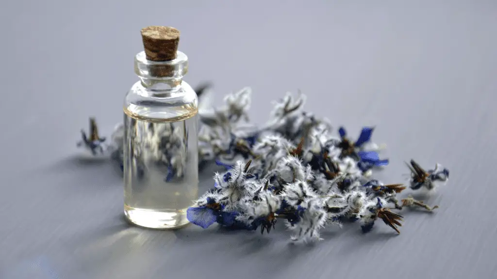 lavender oil