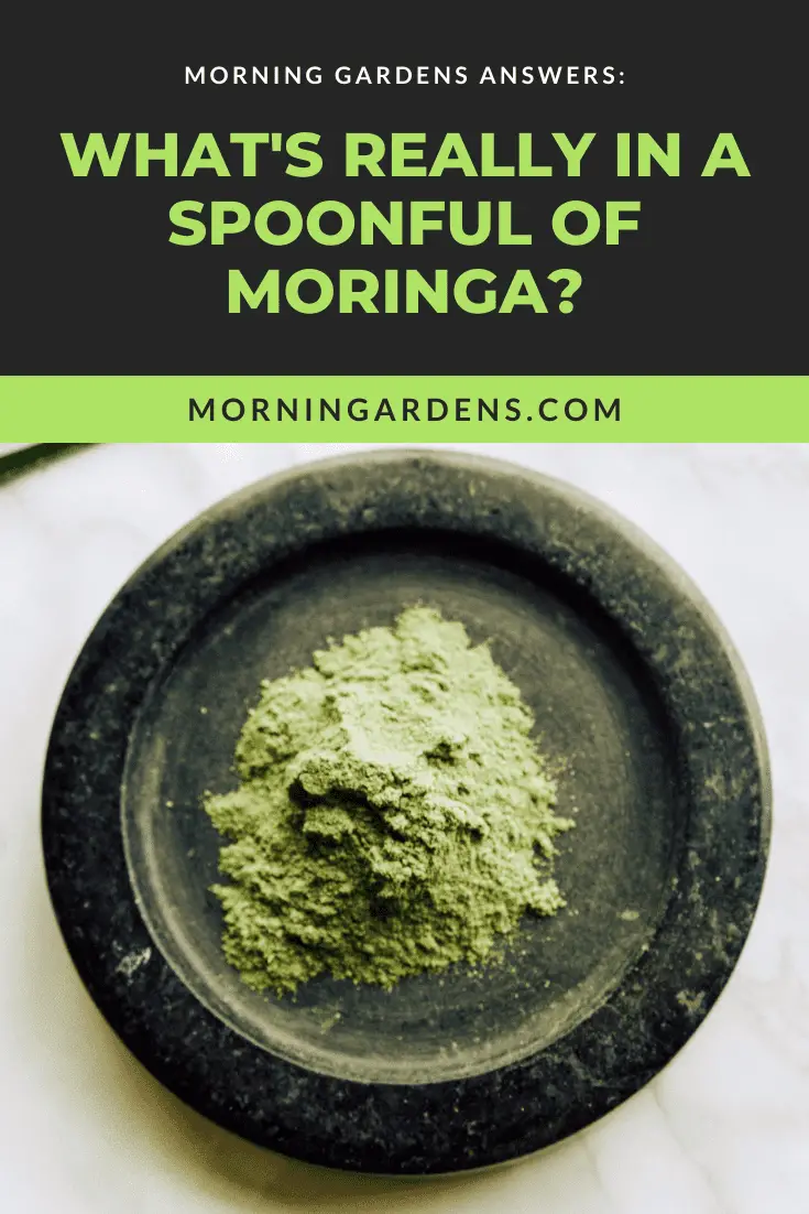 What's in a spoonful of Moringa image