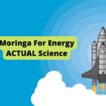 Moringa for Energy