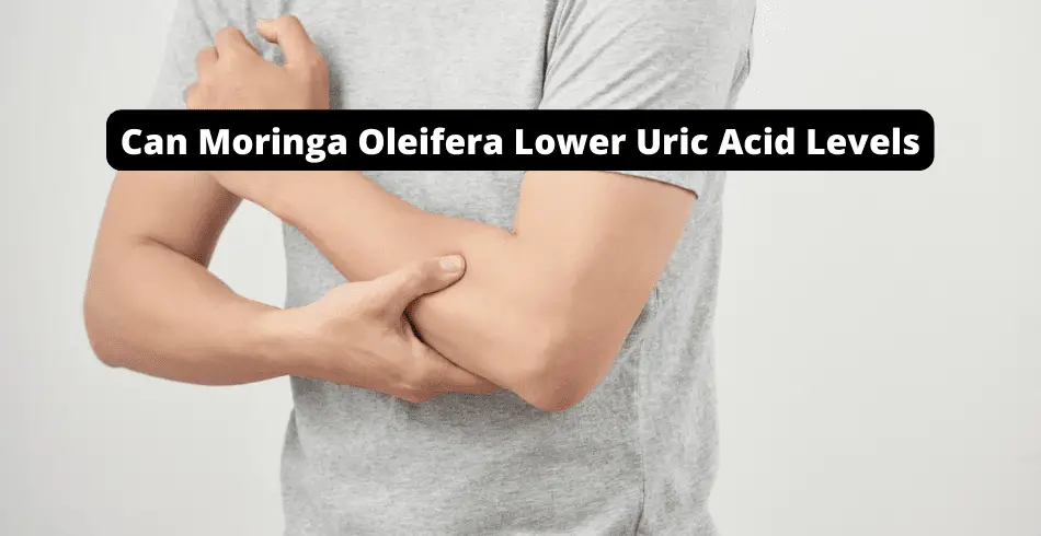 Can Moringa Oleifera Lower Uric Acid Levels